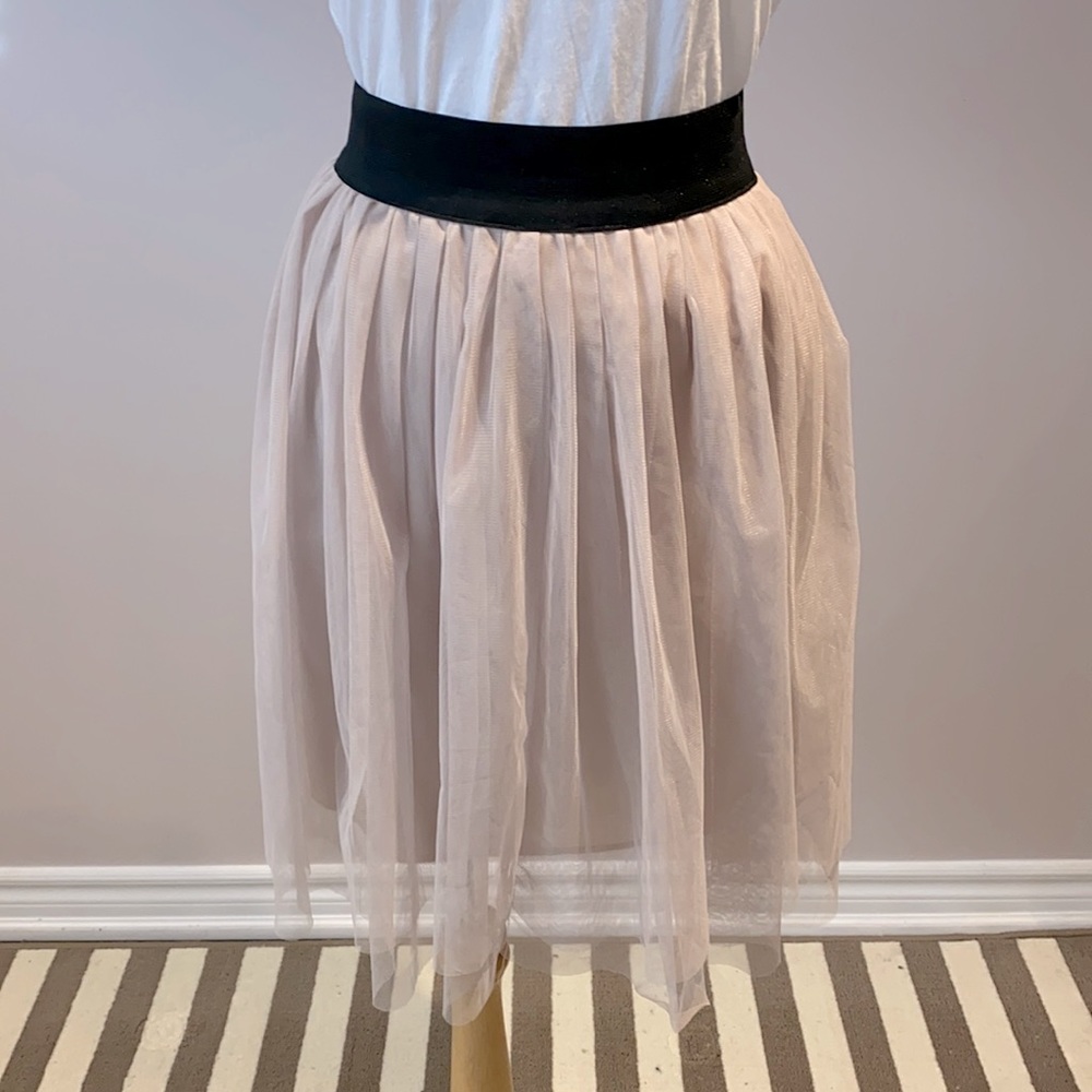 Cute Nude Pink Skirt